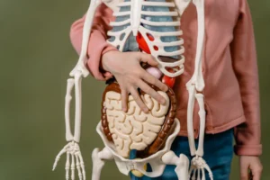 Que partes del cuerpo afecta el estrés, Spazio Di Vita